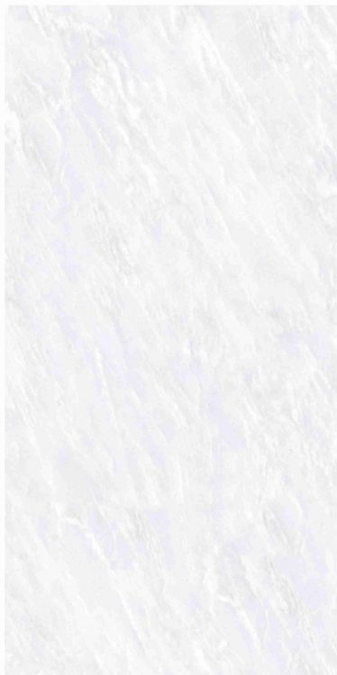 OL Vivid White Matte 12 x 24